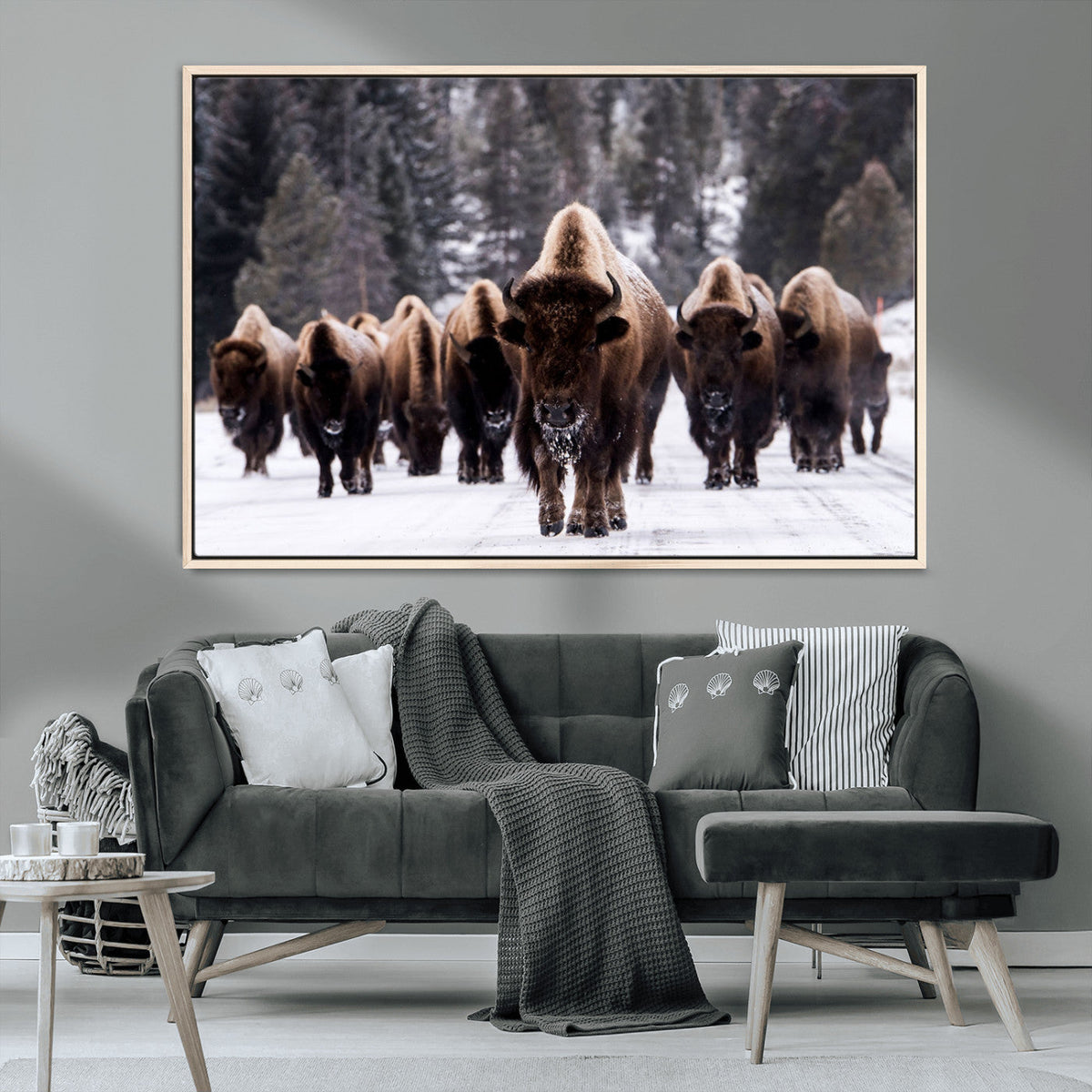 Bison Wall Art Canvas Print, Bison Herd Canvas Wall Art