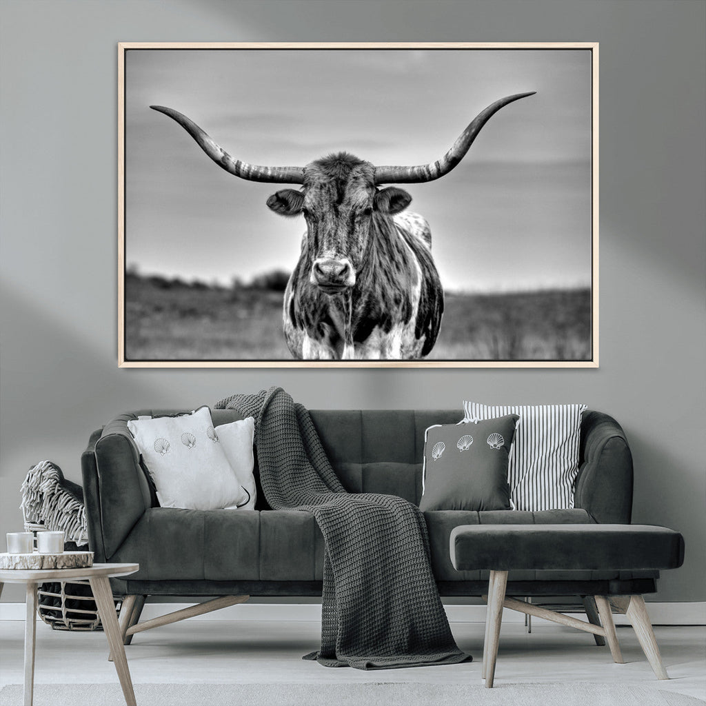 Texas Longhorn Cow Wall Art, Texas Longhorn Canvas, Cattle