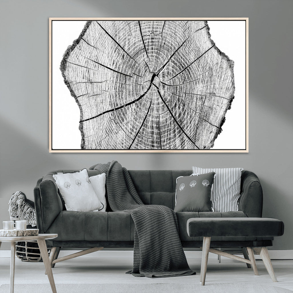 Rustic Tree Ring Wall Art Canvas Print, Framed and Ready to Hang