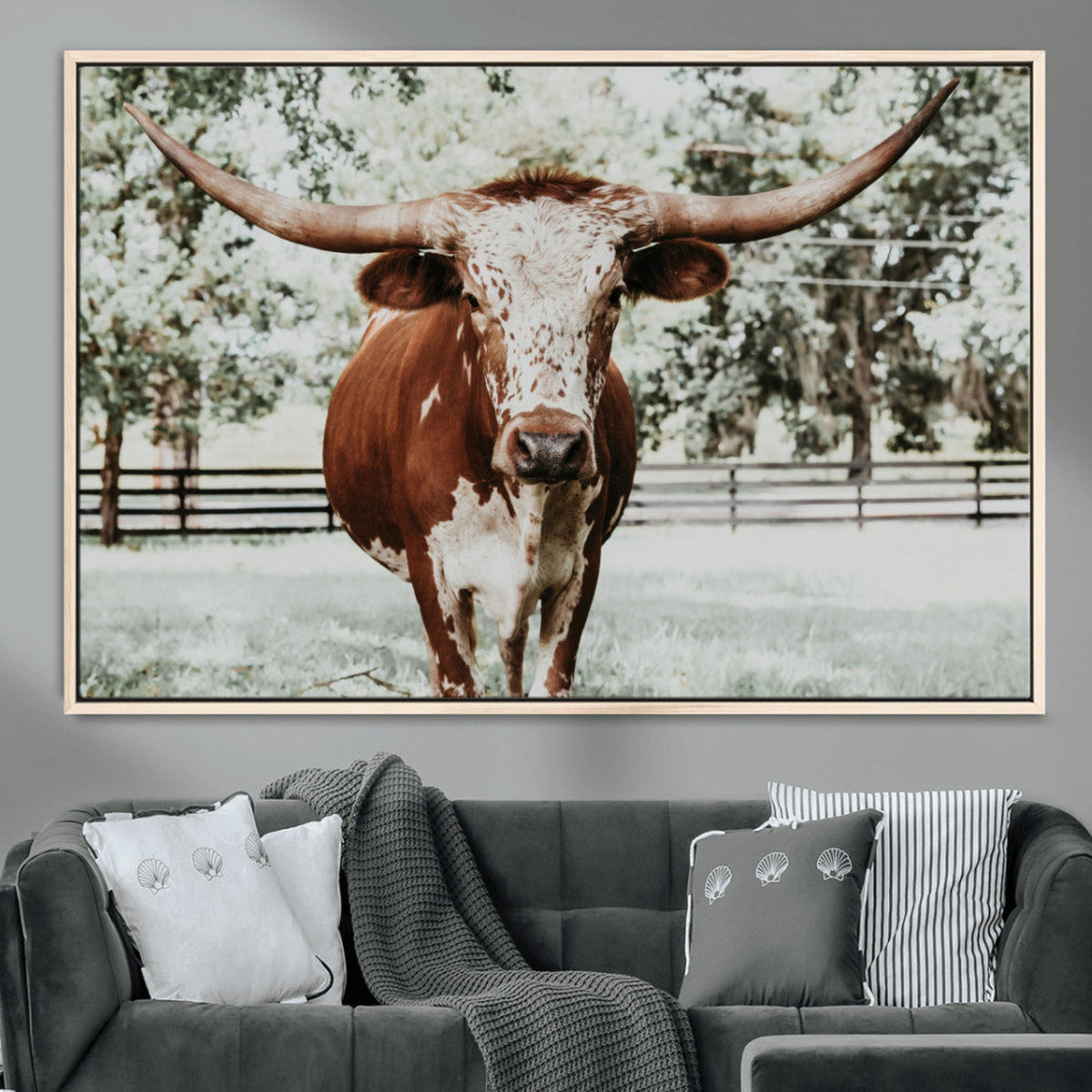 Texas Longhorn Wall Art Canvas Print | Framed Spotted Brown and White Bull