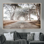 Cypress Tunnel Wall Art | Framed Misty Road Canvas Artwork