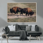 Bison Wall Art Canvas Print, Framed Western Wildlife Modern Ranch