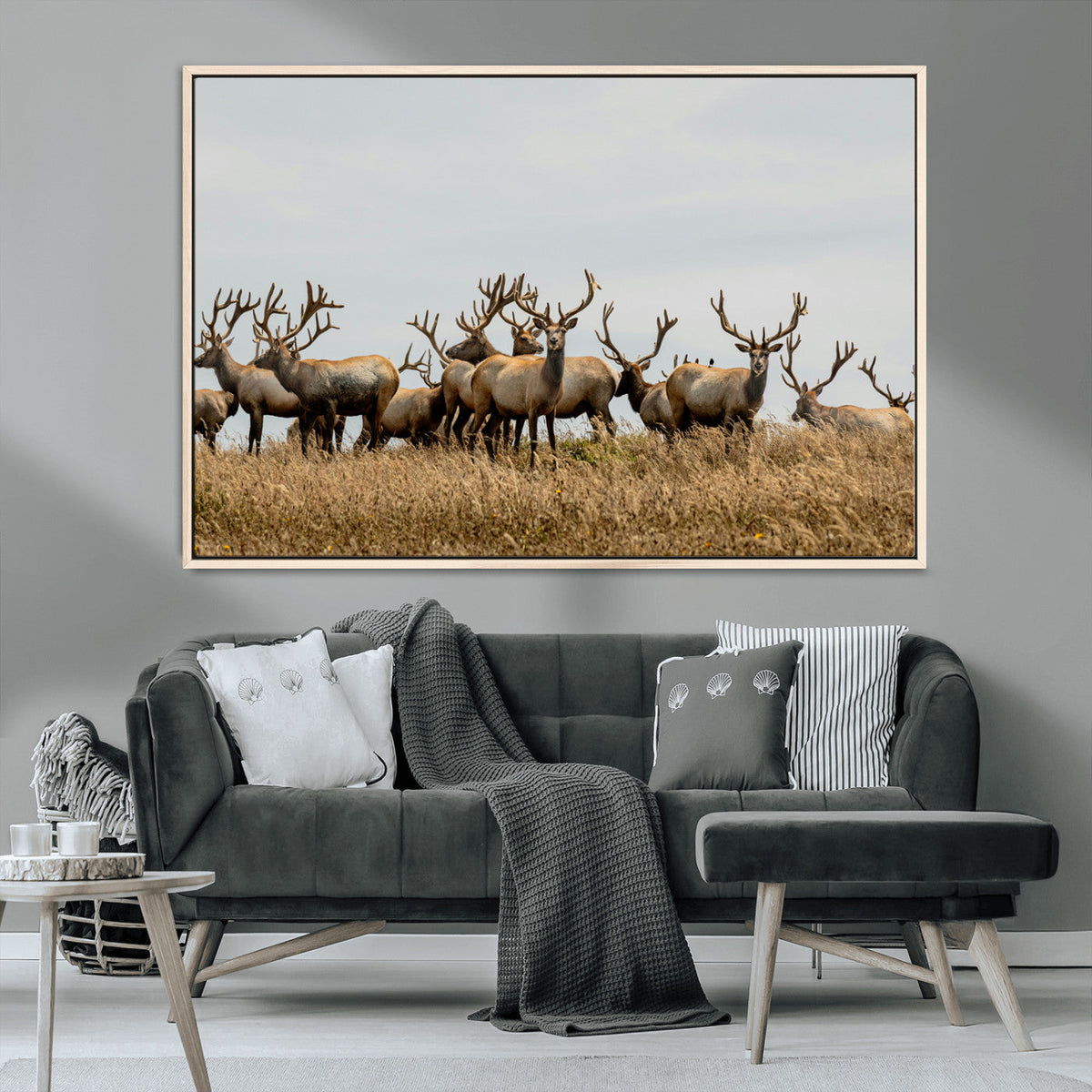 Elk Herd Wall Art Canvas Print, Framed Wildlife Photography Art, Majestic Antlers Rustic Wildlife Decor
