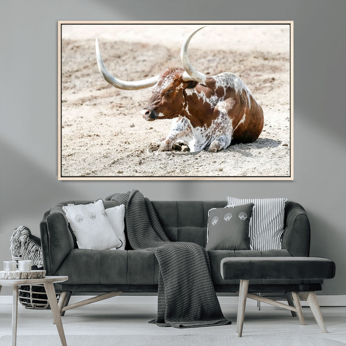 Majestic Longhorn Wall Art Canvas Print, Resting on Sunlit Desert Ground