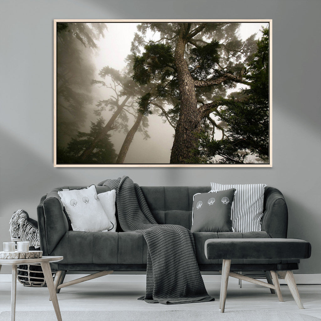 Misty Forest Wall Art Canvas Print, Framed Tall Trees in Foggy Atmosphere