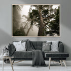 Misty Forest Wall Art Canvas Print, Framed Tall Trees in Foggy Atmosphere