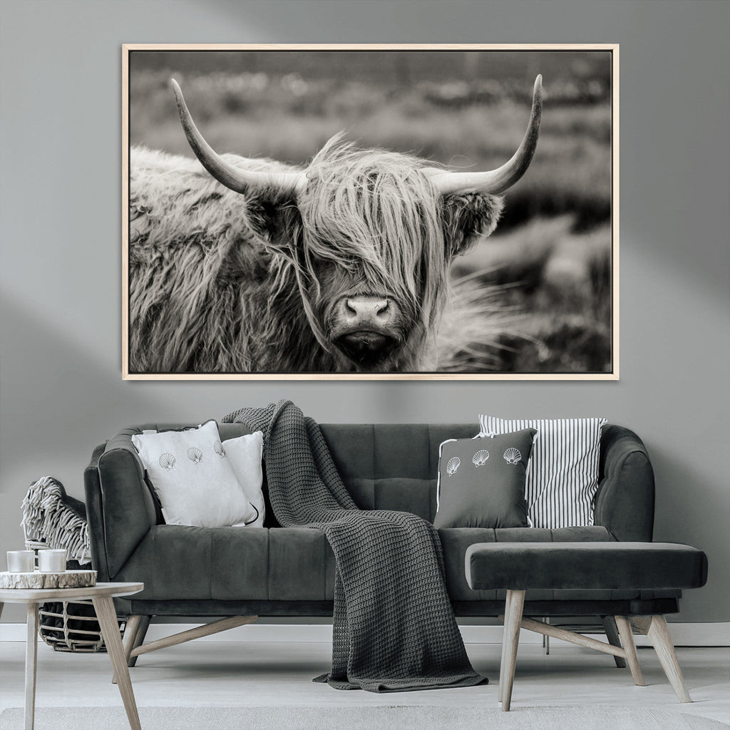 Cow Focus Canvas Wall Art Print