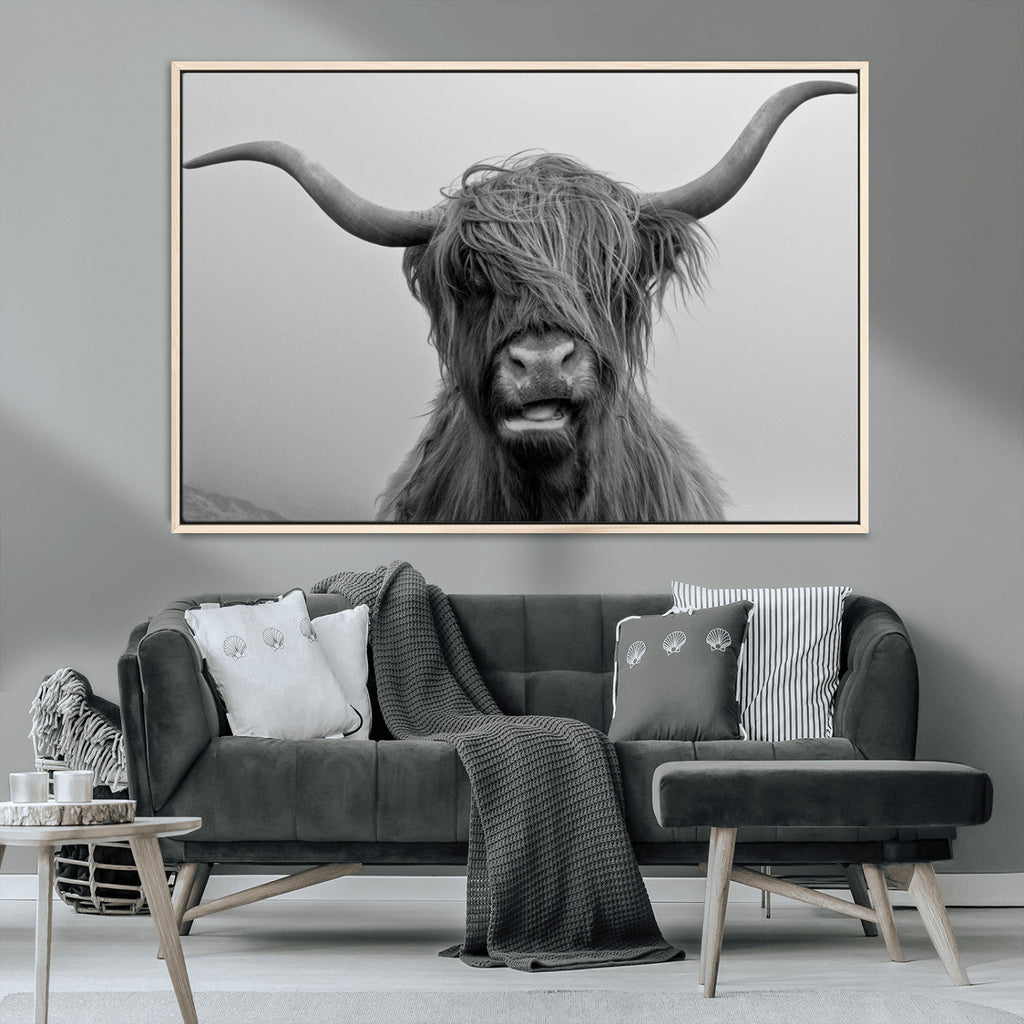Texas Cow Wall Art Canvas, Texas Longhorn Cattle Canvas Print