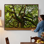 Angel Oak Tree Wall Art Canvas Print | Forest Tree Nature Photography Print