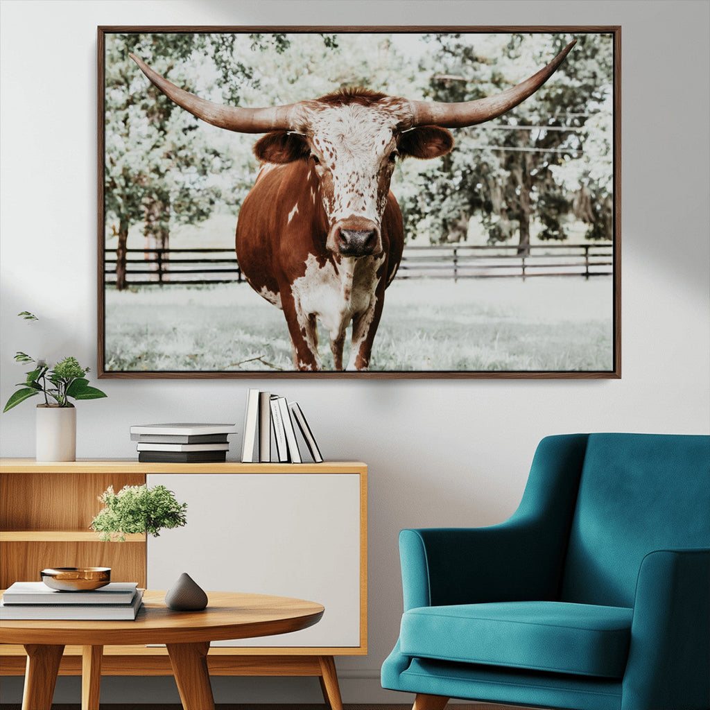 Texas Longhorn Wall Art Canvas Print | Framed Spotted Brown and White Bull