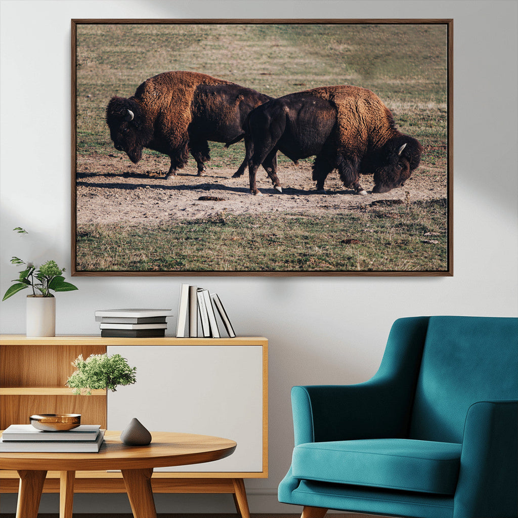 Bison Wall Art Canvas Print, Framed Western Wildlife Modern Ranch