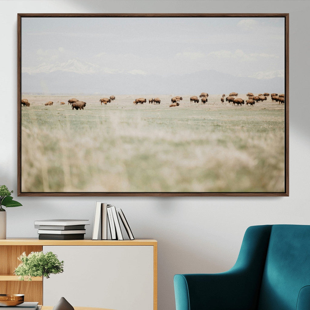 Bison Herd Wall Art Canvas Print, Framed Western Ranch Nature Scene