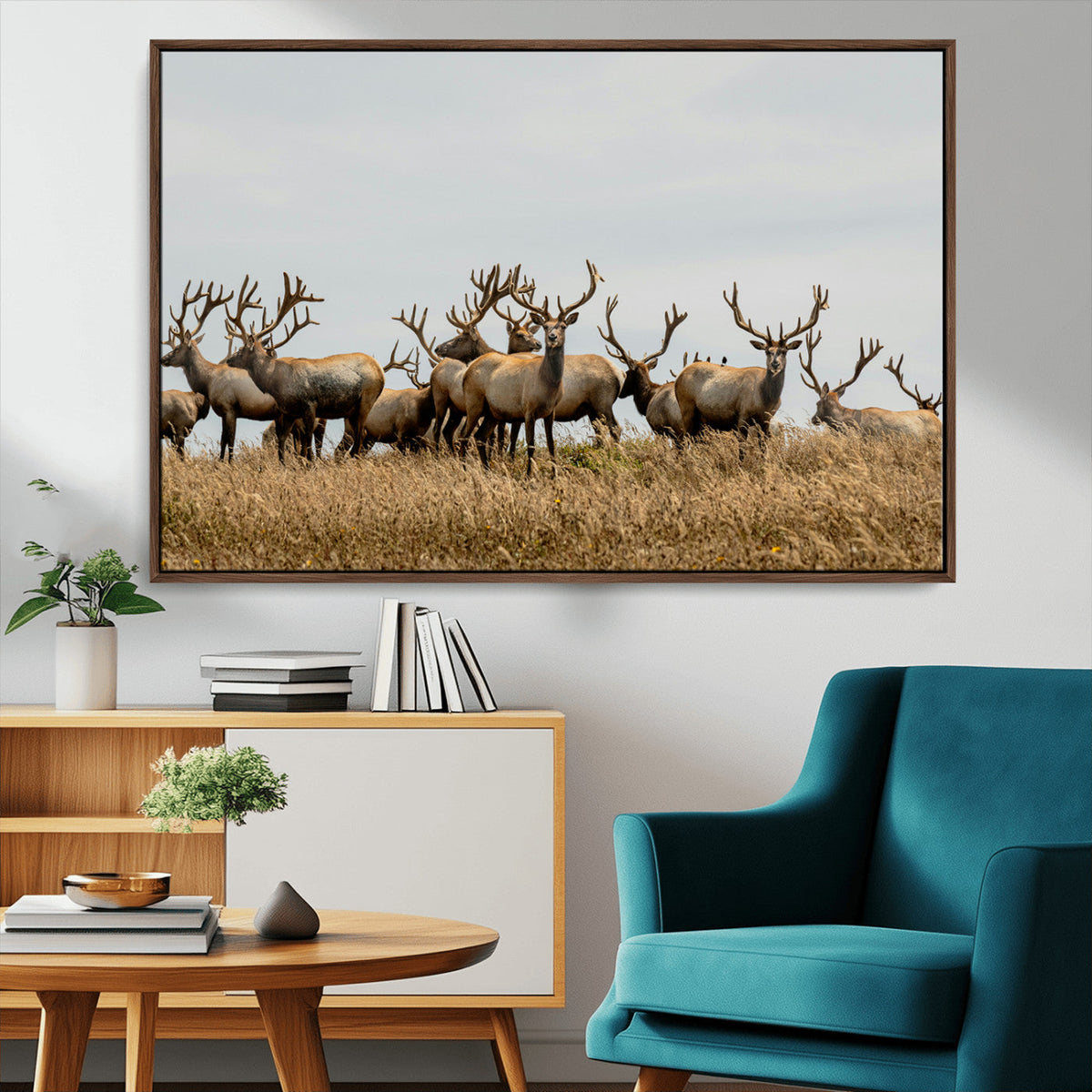 Elk Herd Wall Art Canvas Print, Framed Wildlife Photography Art, Majestic Antlers Rustic Wildlife Decor