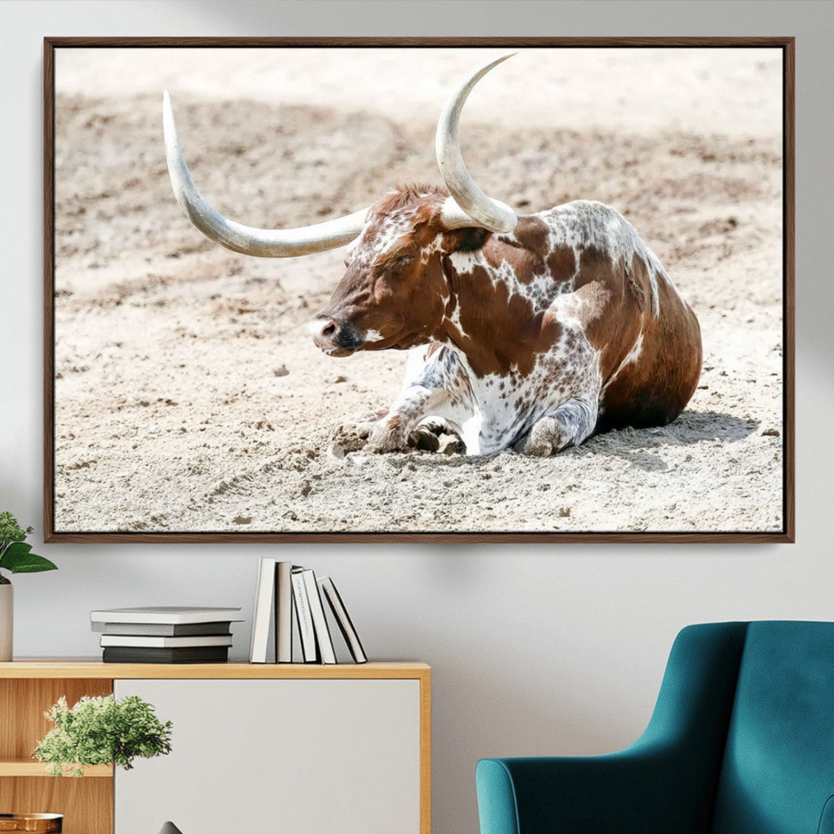 Majestic Longhorn Wall Art Canvas Print, Resting on Sunlit Desert Ground