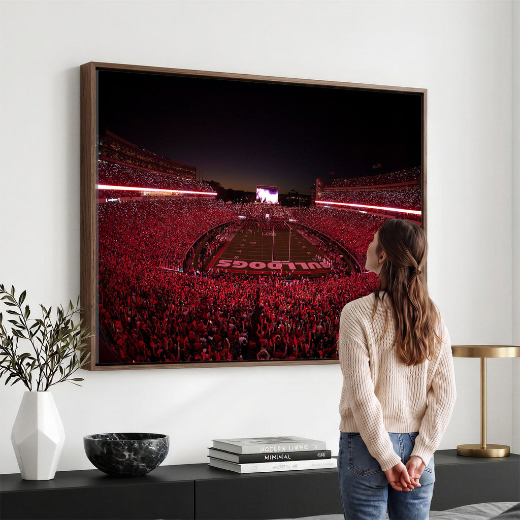 Dooley Stadium Wall Art, Sports Arena Canvas Print, Dooley Field Sanford Stadium