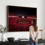 Dooley Stadium Wall Art, Sports Arena Canvas Print, Dooley Field Sanford Stadium