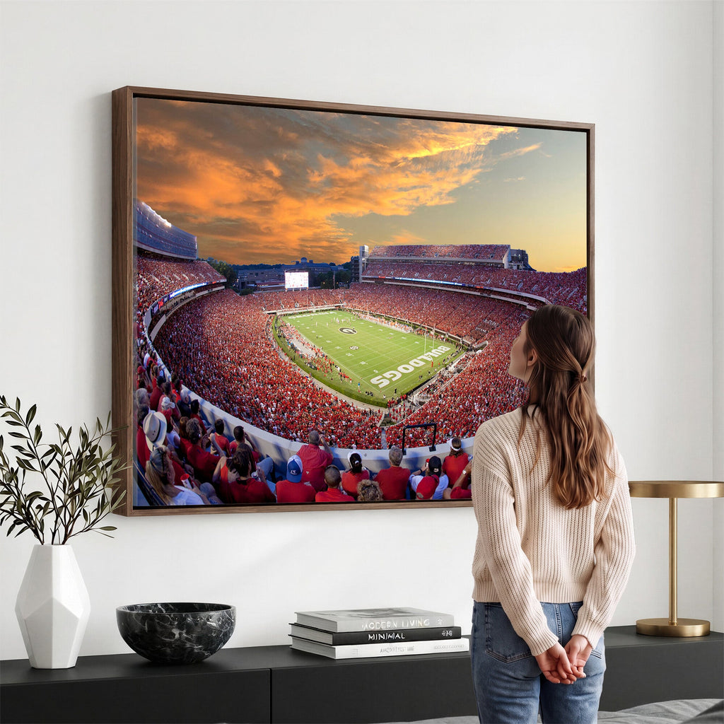 Dooley Stadium Wall Art, Sports Arena Canvas Print, Dooley Field, Framed and Ready to Hang