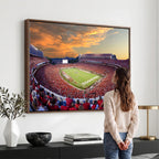Dooley Stadium Wall Art, Sports Arena Canvas Print, Dooley Field, Framed and Ready to Hang