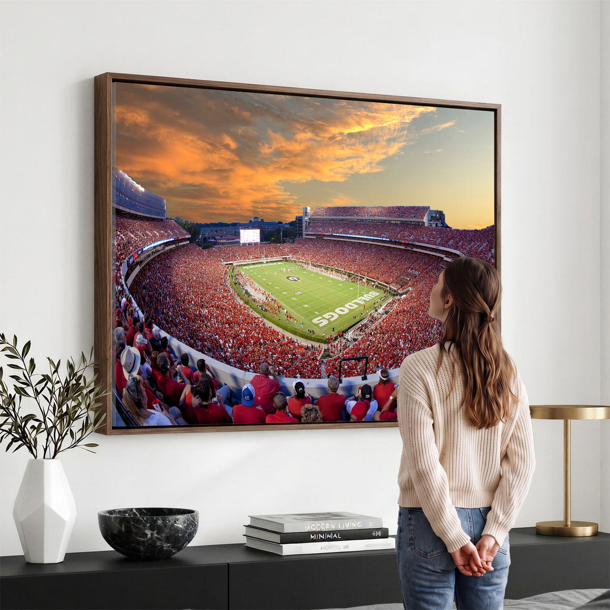 Dooley Stadium Wall Art, Sports Arena Canvas Print, Dooley Field, Framed and Ready to Hang