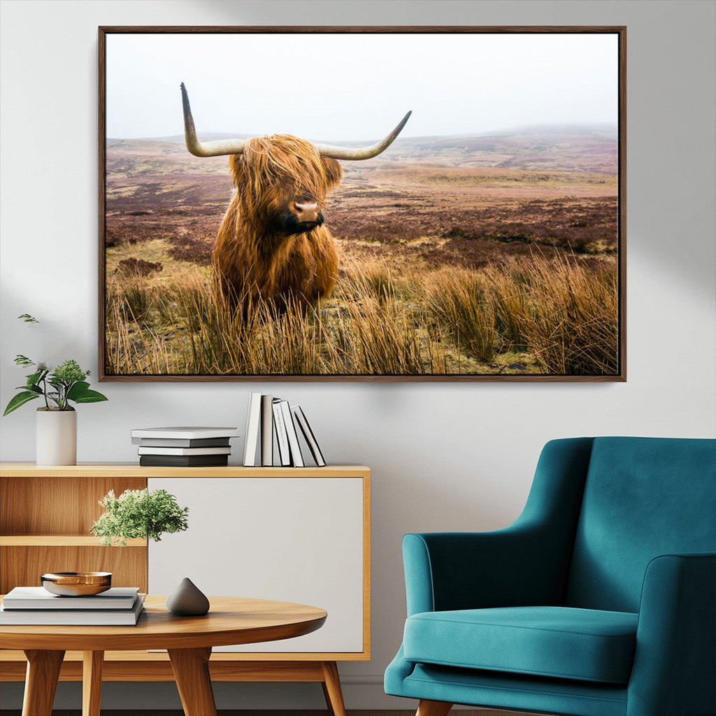 Scottish Highland Cow Canvas Wall Art, Rustic Farmhouse Decor