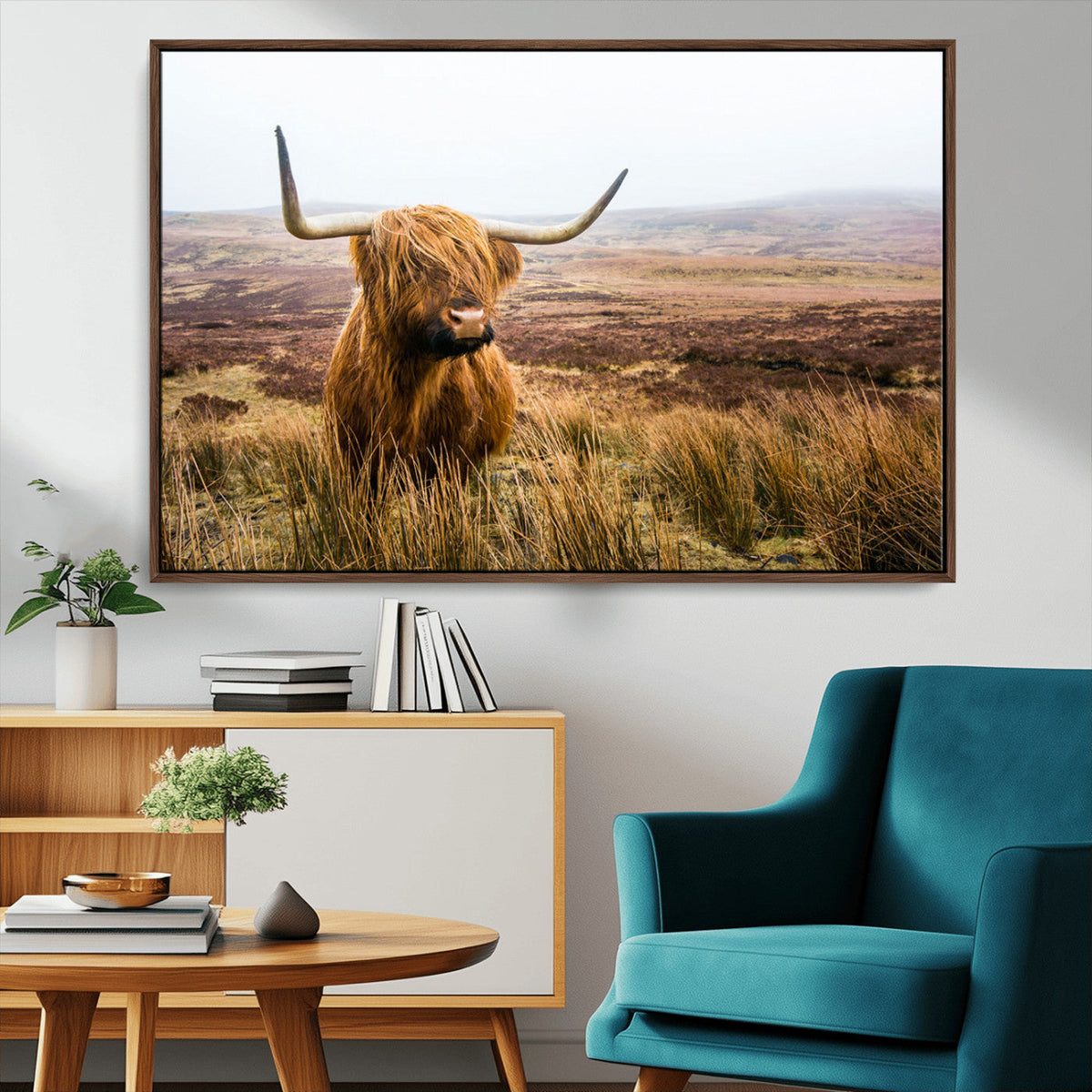 Scottish Highland Cow Canvas Wall Art, Rustic Farmhouse Decor