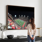 Houston Cougars Football Team Print, Houston TDECU Stadium