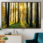Sunlit Forest Wall Art Canvas Print, Large Framed Woodland Scene with Golden Light