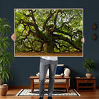 Angel Oak Tree Wall Art Canvas Print | Forest Tree Nature Photography Print