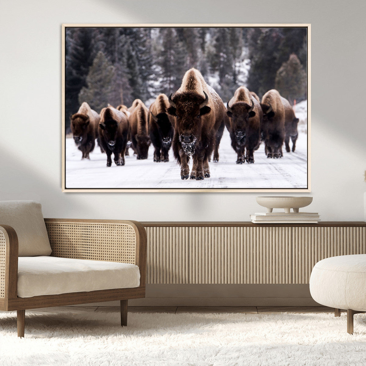 Bison Wall Art Canvas Print, Bison Herd Canvas Wall Art