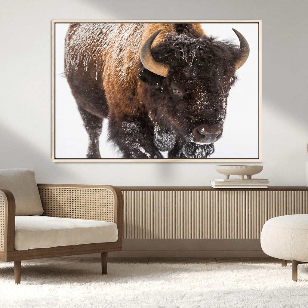 Bison Wall Art Canvas Print For Farmhouse, Wild Animal Wall Art