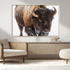 Bison Wall Art Canvas Print For Farmhouse, Wild Animal Wall Art