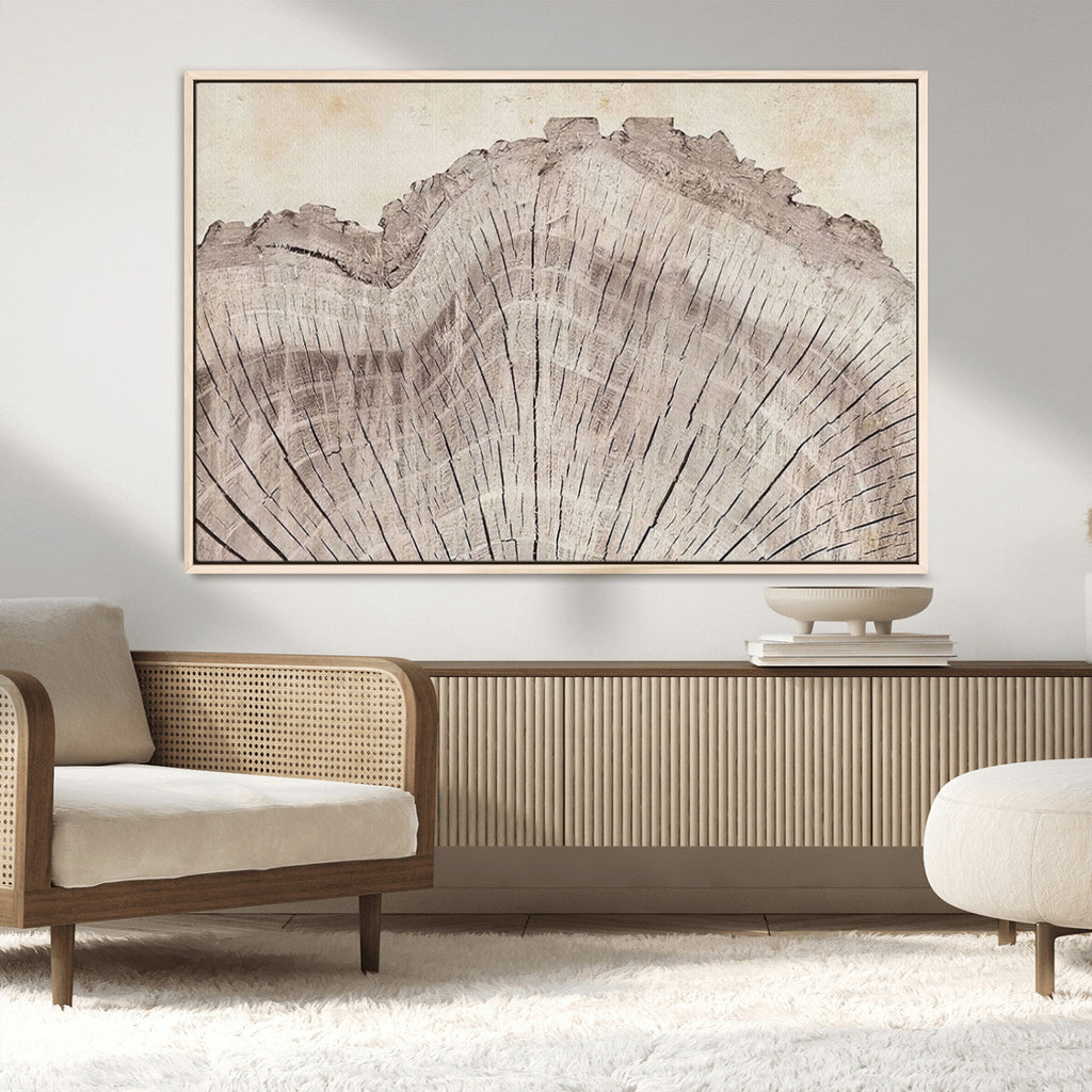 Tree Ring Wall Art Triptych, Rustic Wood Ring Canvas Print