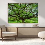 Ancient Tree Wall Art Canvas Print, Framed Sprawling Branches