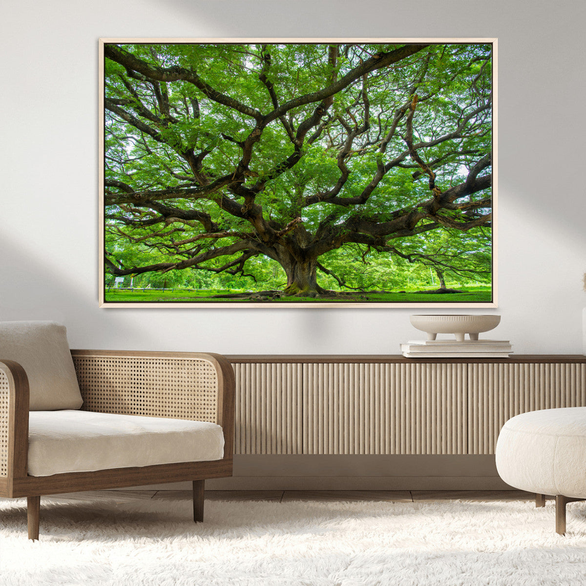 Ancient Tree Wall Art Canvas Print, Framed Sprawling Branches