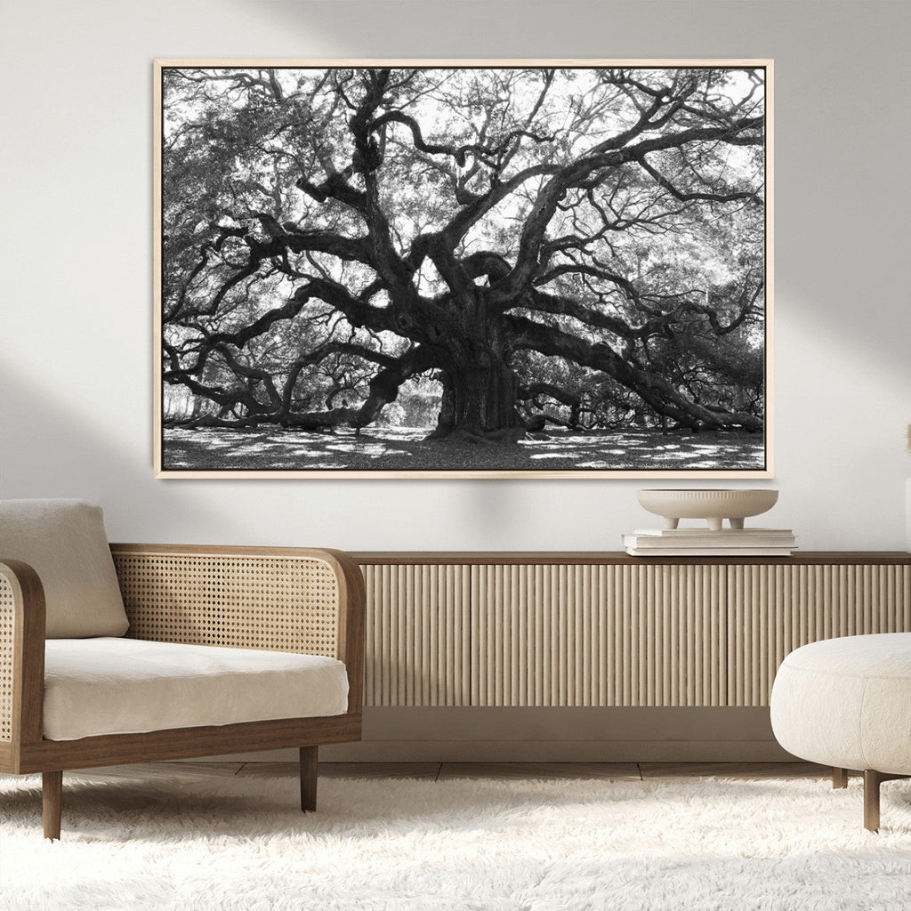 Ancient Oak Wall Art Canvas Print | Gnarled Tree with Twisted Branches