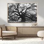 Ancient Oak Wall Art Canvas Print | Gnarled Tree with Twisted Branches
