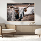 Texas Longhorn Wall Art Canvas Print | Framed Brown and White Spotted Longhorn