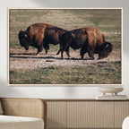 Bison Wall Art Canvas Print, Framed Western Wildlife Modern Ranch