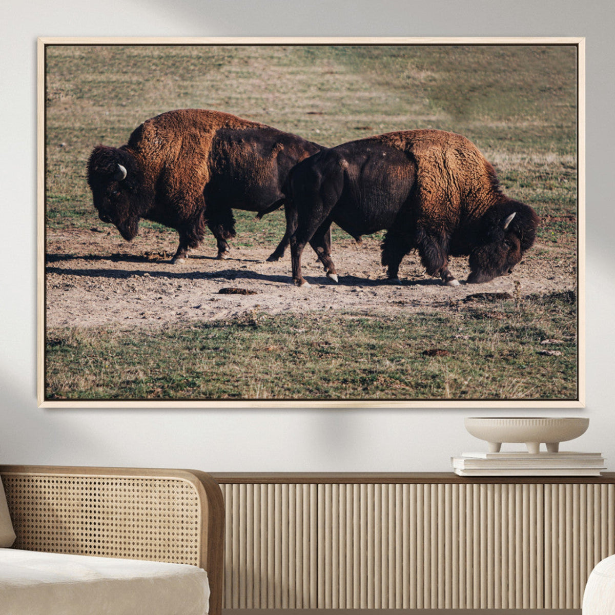 Bison Wall Art Canvas Print, Framed Western Wildlife Modern Ranch