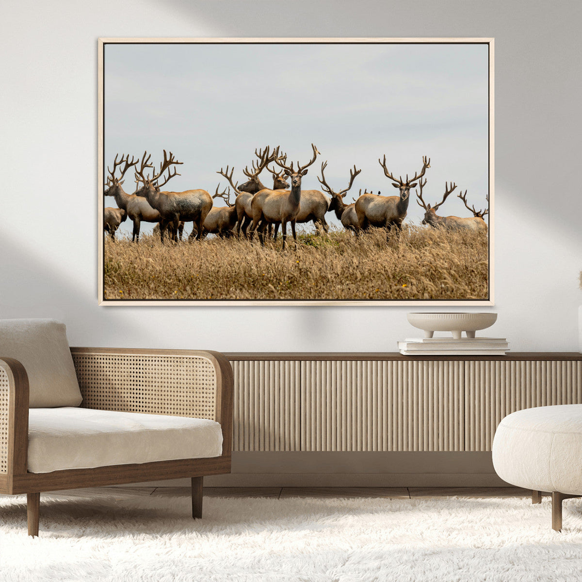 Elk Herd Wall Art Canvas Print, Framed Wildlife Photography Art, Majestic Antlers Rustic Wildlife Decor