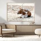 Majestic Longhorn Wall Art Canvas Print, Resting on Sunlit Desert Ground
