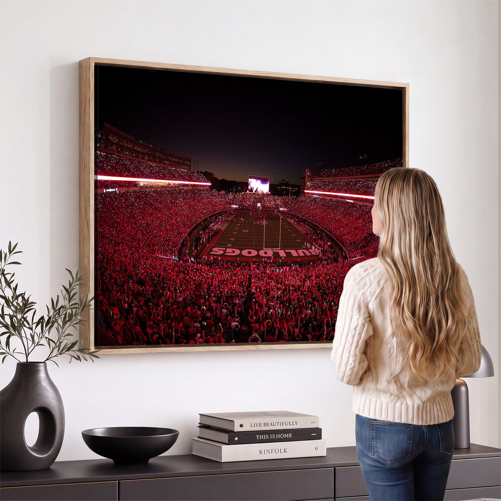 Dooley Stadium Wall Art, Sports Arena Canvas Print, Dooley Field Sanford Stadium