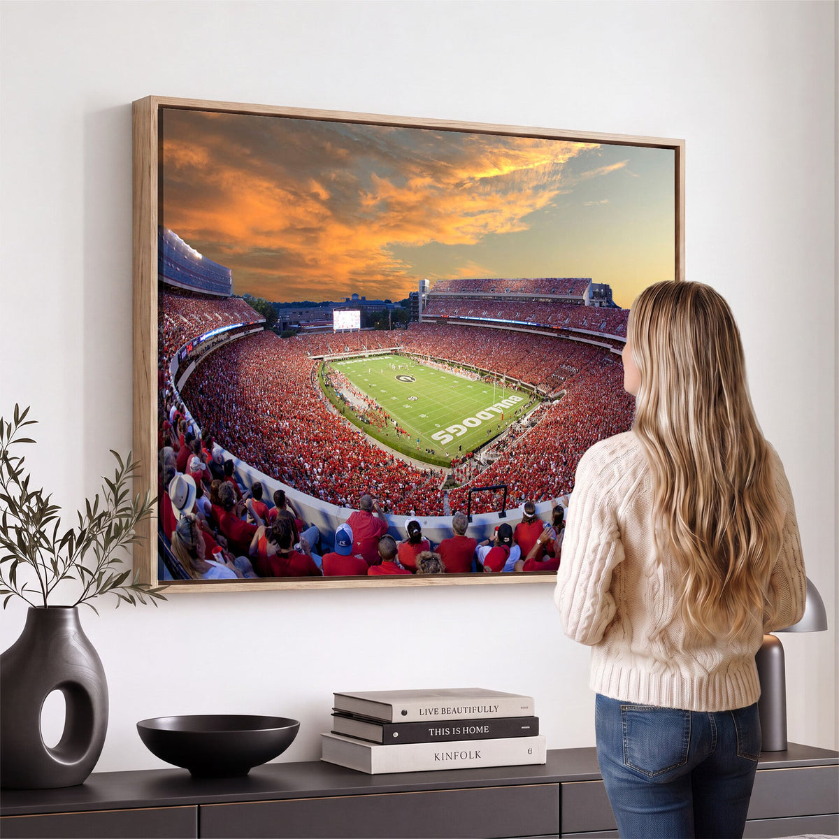 Dooley Stadium Wall Art, Sports Arena Canvas Print, Dooley Field, Framed and Ready to Hang