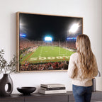 Dooley Stadium Wall Art, Sports Arena Panoramic Canvas