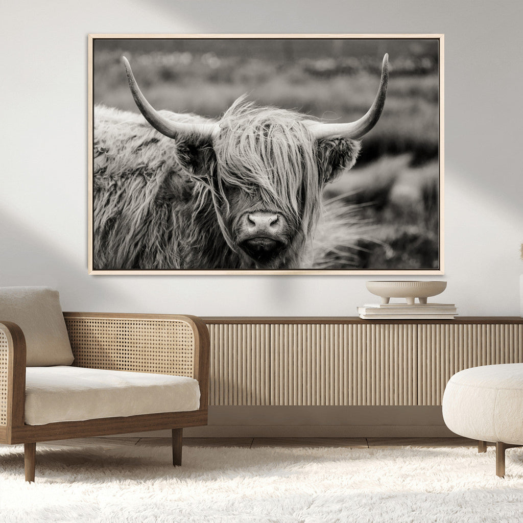 Cow Focus Canvas Wall Art Print