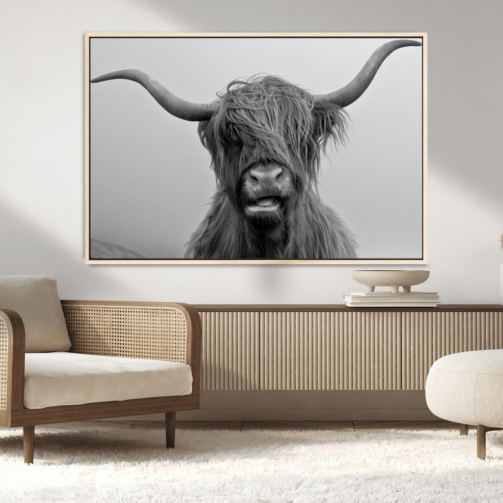 Texas Cow Wall Art Canvas, Texas Longhorn Cattle Canvas Print
