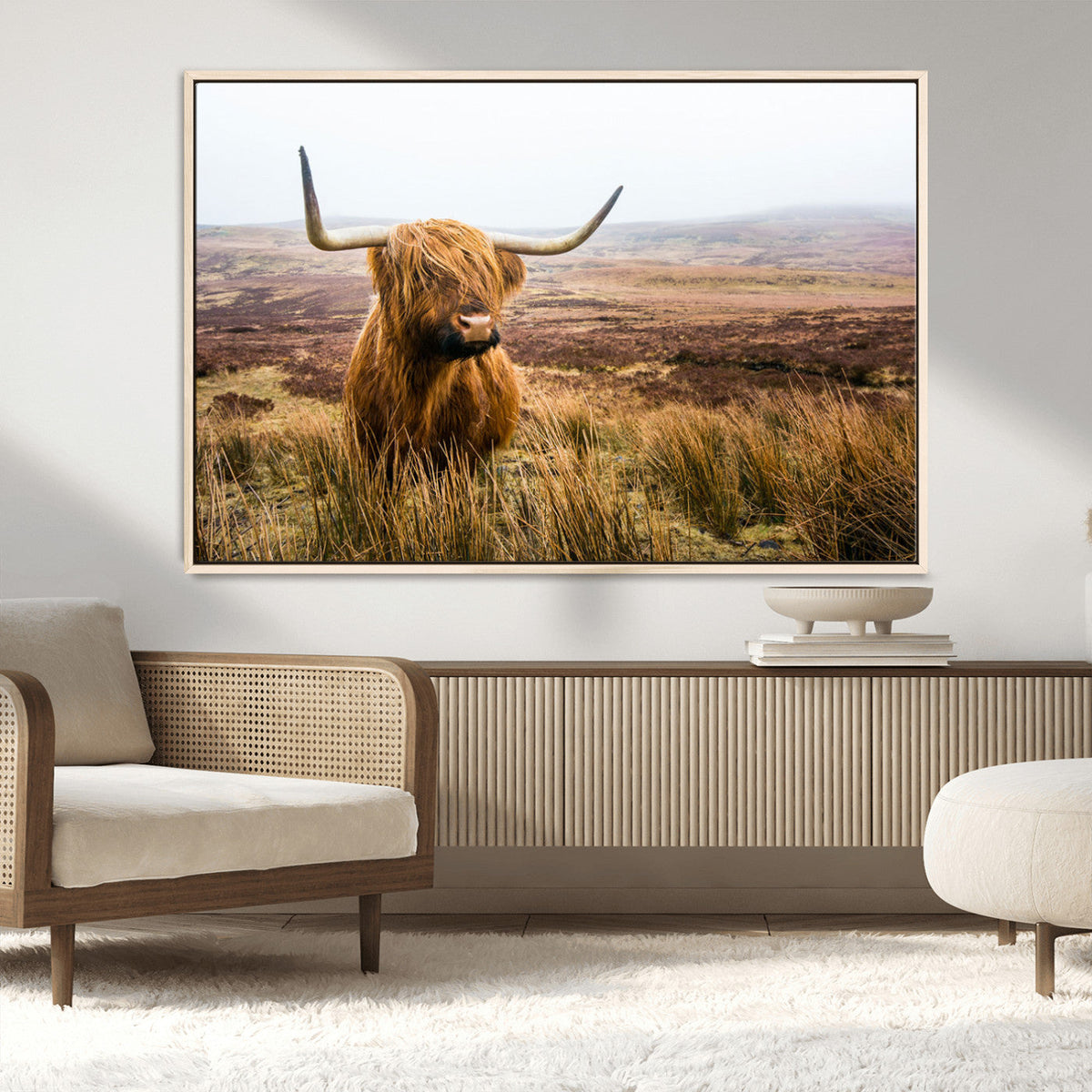 Scottish Highland Cow Canvas Wall Art, Rustic Farmhouse Decor