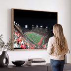 Houston Cougars Football Team Print, Houston TDECU Stadium