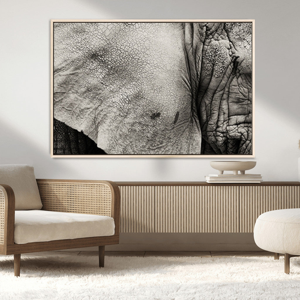 Elephant Wall Art Canvas Print