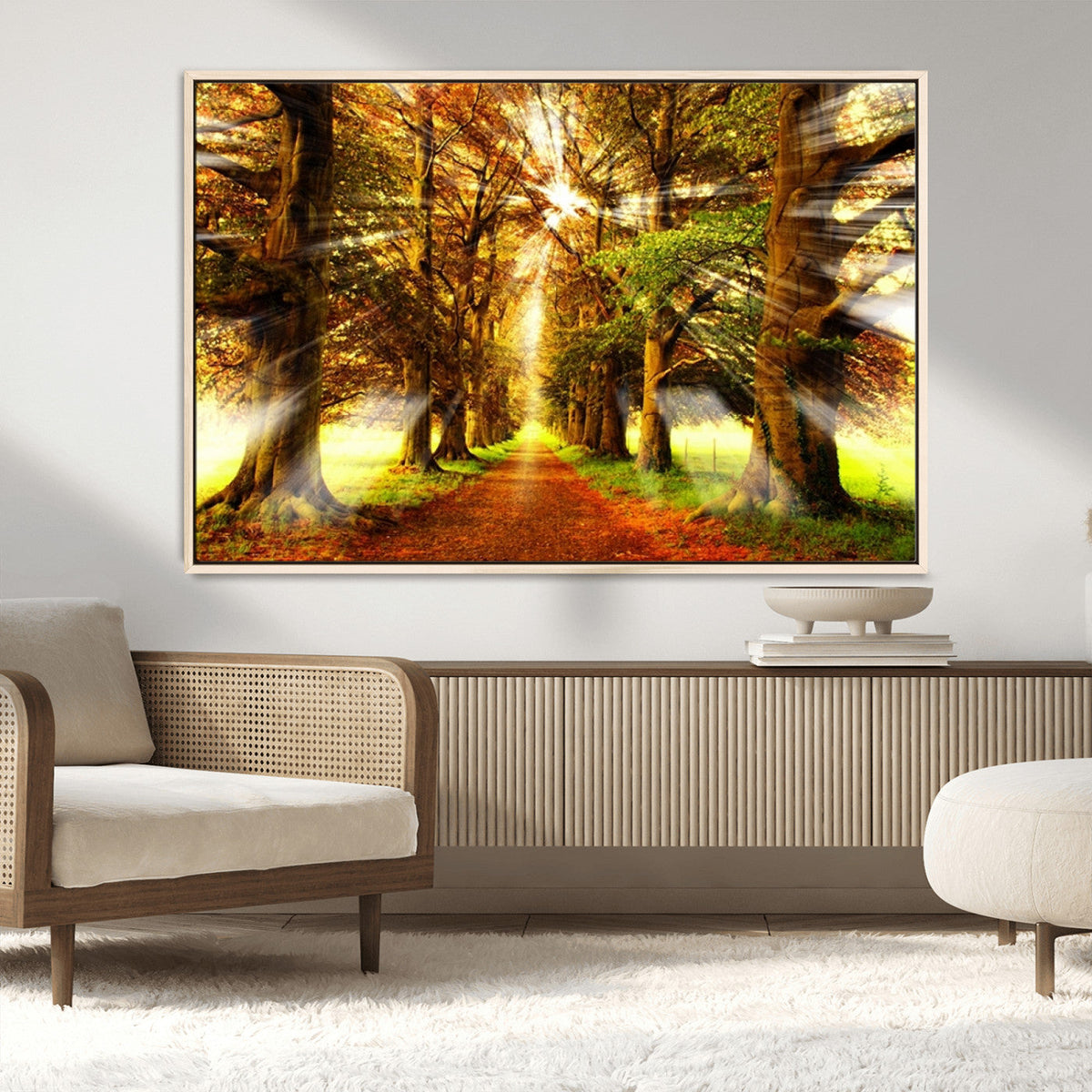 Sunshine in Forest and Trees Wall Art Canvas Print